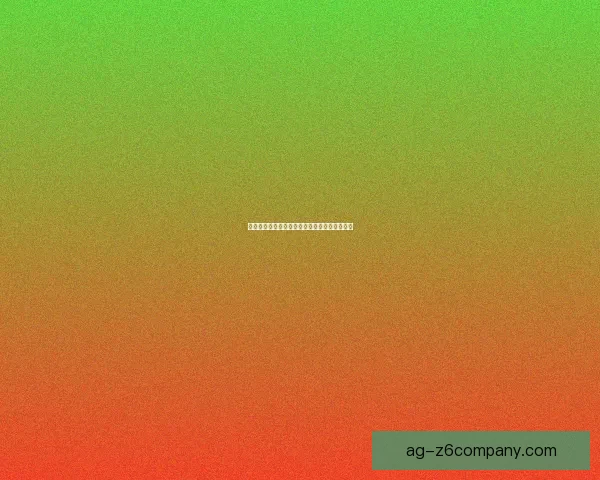 口袋妖怪漆黑的魅影二周目攻略与全新挑战解析